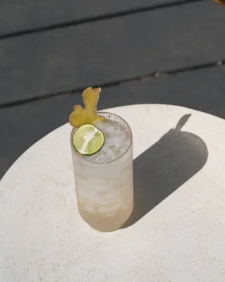 WithCo Ginger Mule Mixer